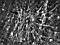 Thumbnail image. Click to load APOD for this date