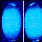 Thumbnail image. Click to load APOD for this date