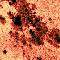 Thumbnail image. Click to load APOD for this date